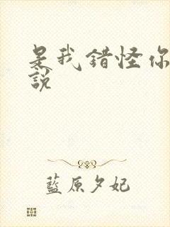 是我错怪你了小说