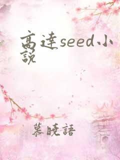 高达seed小说