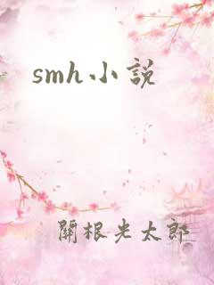 smh小说