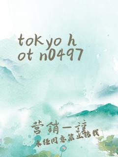 tokyo hot n0497