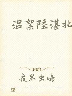 温絮陆湛北