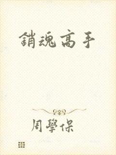 销魂高手