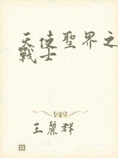 天使圣界之神之战士