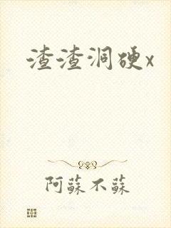 渣渣洞硬x