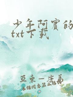 少年阿宾的故事txt下载