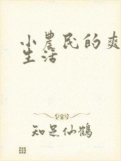 小农民的爽歪歪生活