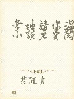 爹地请你温柔点小说免费阅读