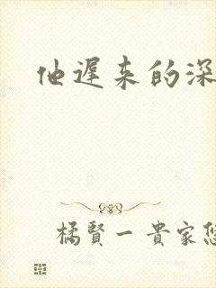 他迟来的深情