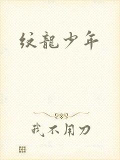 纹龙少年
