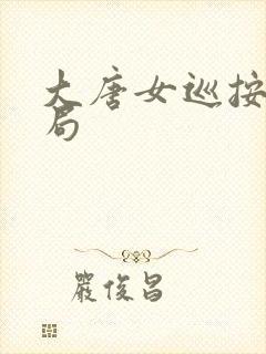 大唐女巡按大结局