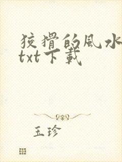 狡猾的风水相师txt下载