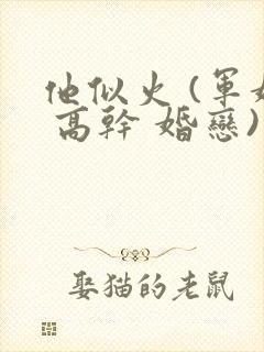 他似火 (军婚 高干 婚恋)小说免费阅读