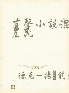 有声小说混世小农民