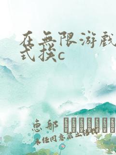 在无限游戏里花式挨c