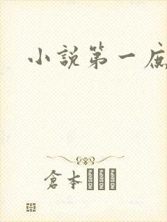 小说第一庶女