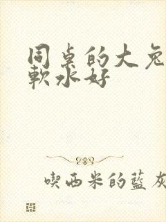 同桌的大兔子好软水好