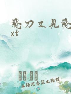 飞刀又见飞刀txt