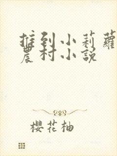 推到小莉萝稚嫩农村小说