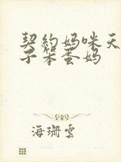 契约妈咪天才儿子笨蛋妈