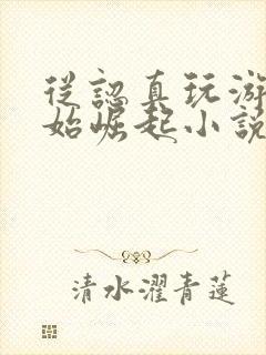 从认真玩游戏开始崛起小说