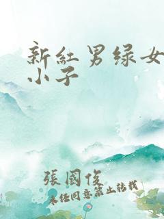 新红男绿女之坏小子