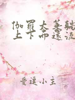 伽罗太华躺在床上下面还流东西