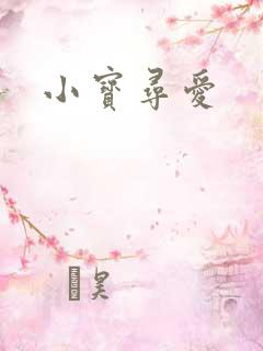 小宝寻爱
