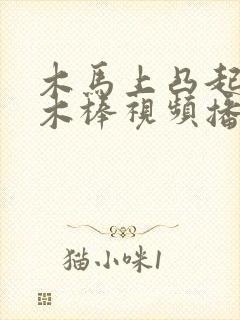 木马上凸起电动木棒视频播放