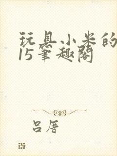 玩具小米的1一15笔趣阁