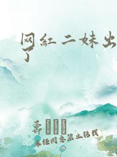 网红二妹出啥事了