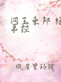 网王东邦 绝对弟控