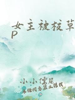 女主被校草们NP