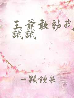 王爷敢动我妈咪试试