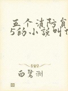 五个消防员1v5的小说叫什么