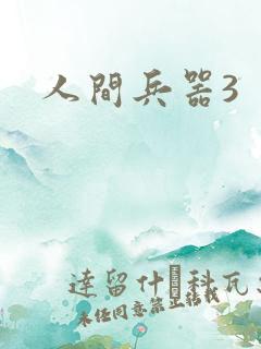 人间兵器3