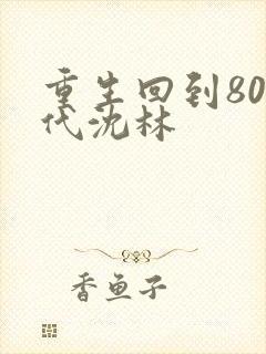 重生回到80年代沈林