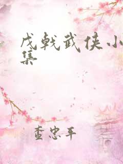 戊戟武侠小说全集