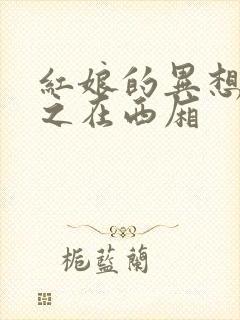 红娘的异想世界之在西厢