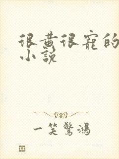 很黄很宠的总裁小说