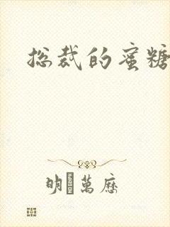 总裁的蜜糖宝贝