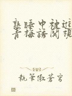 熟睡中被进了H青梅诱哄视频