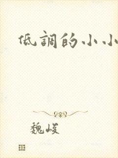 低调的小小宫女