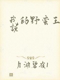 我的野蛮王妃小说