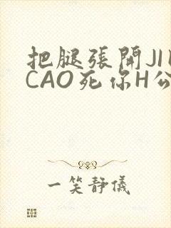 把腿张开JI巴CAO死你H公园