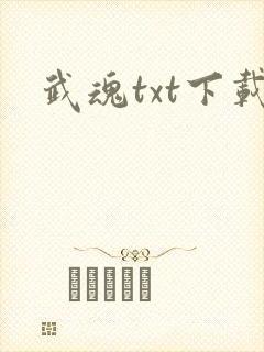 武魂txt下载
