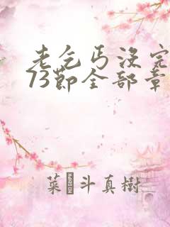 老乞丐没完没了73节全部章节内容