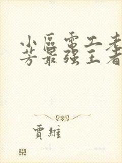 小区电工老周刘芳最强王者