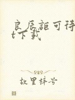 良辰讵可待txt下载