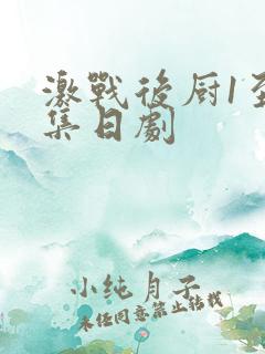 激战后厨1至5集日剧