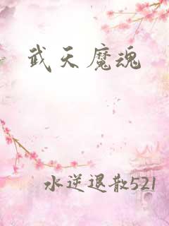武天魔魂
